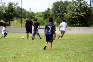 IMG 8446 copy