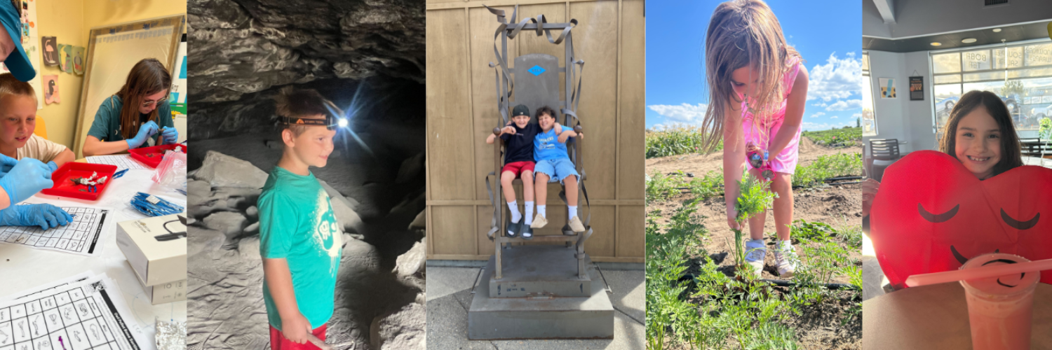 Newsletter Banner for Website