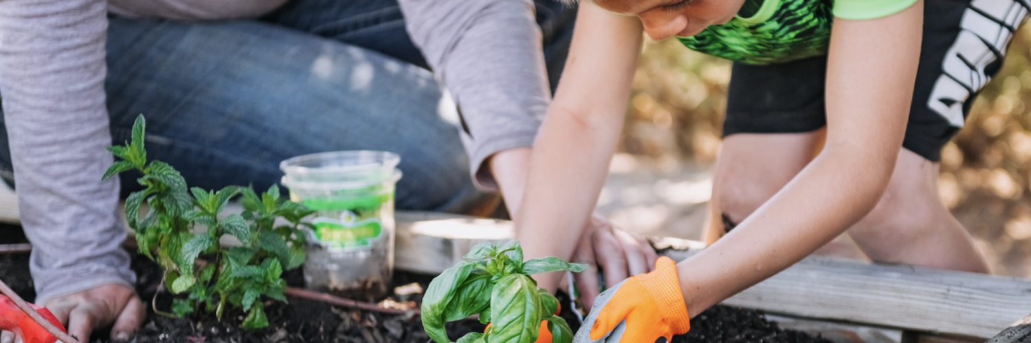 Screenshot 2025 05 21 at 11 36 54 AM