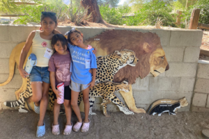 Living desert web header