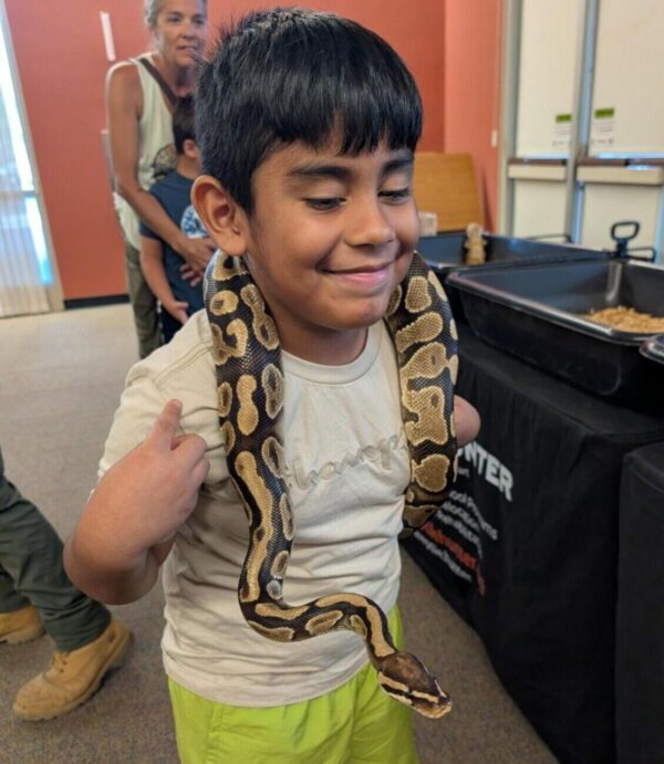 Reptiles library