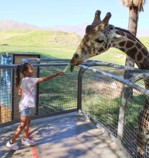 Zoo2