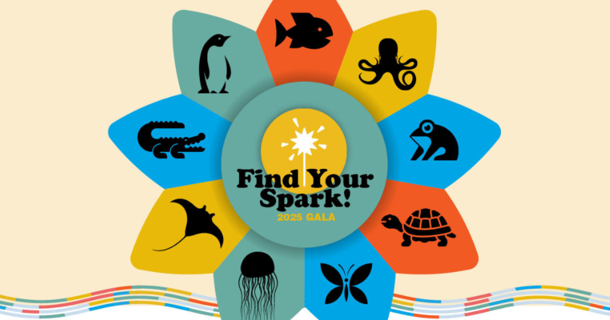 Friends of the Children San Francisco Join us for our 2025 Find…