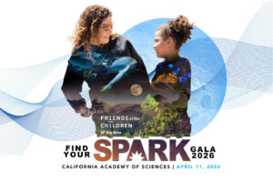 Gala final girl website thumbnail banner