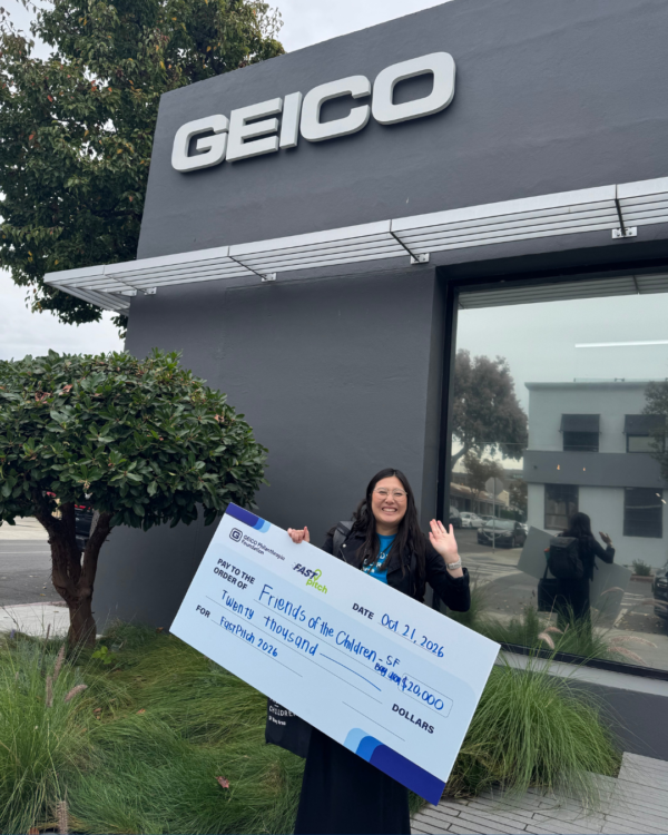 Geico 04
